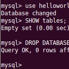 Useful mySQL Command Line Basics